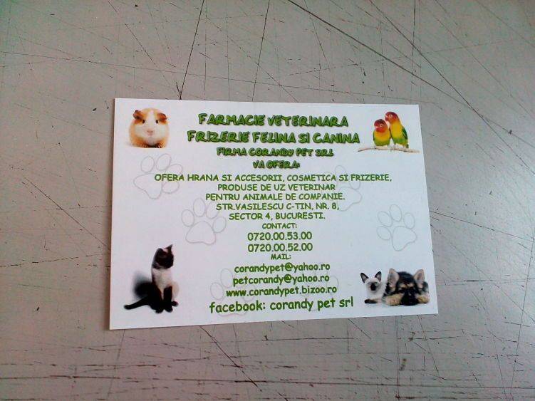 flyere pe carton gros